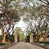 Malisa Villa Suites Hotel Picture 5