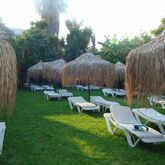 Oasis Hotel Picture 10