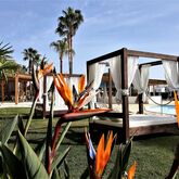 AP Maria Nova Lounge | Tavira - Adult Only Picture 16