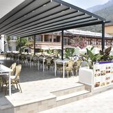 Magic Tulip Hotel Picture 9