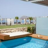 Minoa Palace Resort & Spa Picture 13