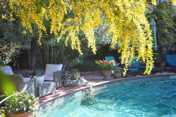 Holidays at El Vino Hotel in Bodrum, Bodrum Region