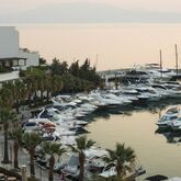 Altin Yunus Resort and Thermal Spa Picture 9
