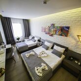 Laren Family Hotel & Spa Picture 4