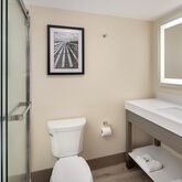 Ramada Plaza Resort & Suites Picture 5