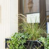 Niel Hotel Picture 0