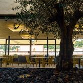 Delfin Hotel Picture 9