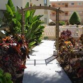 Los Ficus Apartments Picture 5