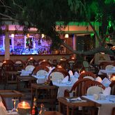 Okaliptus Hotel Picture 6