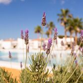 Menorca Mar Apartments - Adults Only Picture 18