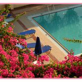 Apollon Apartments Rethymno Hotel Picture 13