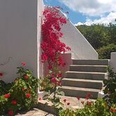 Palatia Village Picture 11