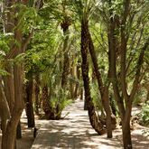 Barcelo Palmeraie Picture 12