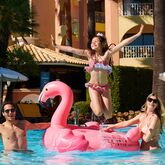 Four Seasons Vilamoura Picture 16