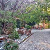 Oasis Hotel Picture 6