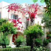 Nissia and Kamares Apartments Picture 12