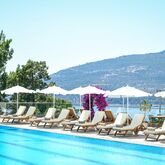 Happy Kalkan Picture 14