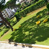Rio Apartments Picture 17