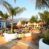 Pine Hill Hotel & Suites Picture 3