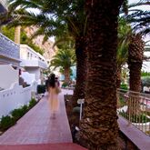 Kalypso Cretan Village Picture 18