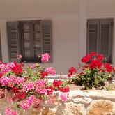White Suites Hotel Picture 0