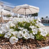 Los Naranjos Apartments Picture 19