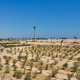 Sheraton Soma Bay Hotel Picture 9