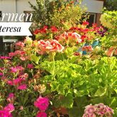 Carmen Teresa Hotel Picture 12