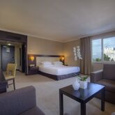 Barcelo Eresin Topkapi Hotel Picture 6