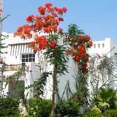 Delta Sharm Resort Hotel Picture 16