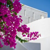 Knossos Beach Bungalows Suites Resort & Spa Picture 18