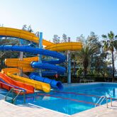 Arum Barut Collection Picture 9