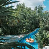 Iberostar Paraiso Maya Hotel Picture 14