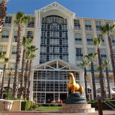 Table Bay Hotel Picture 7