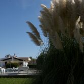 Sa Caleta Apartments Picture 11