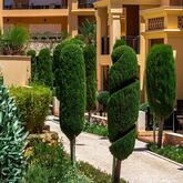 Baia Da Luz Hotel Picture 17