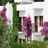 Safir Hotel Picture 5