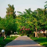 Mitsis Rodos Maris Resort & Spa Picture 10