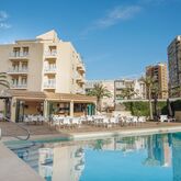 Palm Court Apartments Picture 0