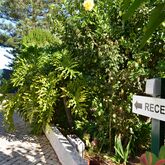 Flor Da Laranja Apartments Picture 19