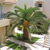 Summerland Hotel & Bungalows Picture 11