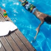 Yellow Praia Monte Gordo Hotel Picture 3