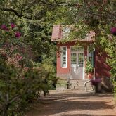 Quinta Santo Antonio Da Serra Chalets Picture 16