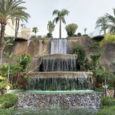 Aloha Gardens Hotel Picture 7