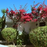 Blue Horizon Hotel Picture 17