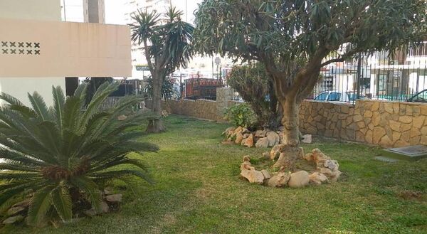 Holidays at Las Carabelas Apartments in Benidorm, Costa Blanca