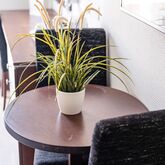 Livadhiotis City Hotel Picture 17