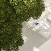 Mayor Mon Repos Palace Art Hotel Picture 10