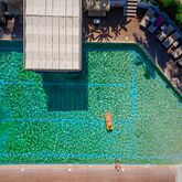 Flegra Palace Hotel Picture 16
