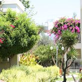 Mandarin Resort Picture 19